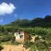 Barry Liang - Facebook