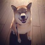 barryliang - @hihua_liang - Instagram