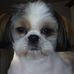 Barry Lien - Facebook