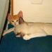Barry Lindstrom - Facebook