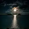 Barry Linka - @barry.linka - TikTok