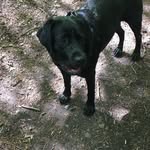 Barry Lloyd - @barry.lloyd.7927 - Instagram