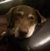 Barry Lowery - Facebook
