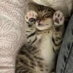 @barry_loy88 - Instagram
