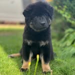 Barry_Glücksbär - @barry_lucky_bear - Instagram