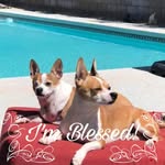 Steve Baltazar - @barryluckybaltazar - Instagram