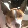 Barry Huffman948 - @barryhuffman0 - TikTok