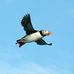 Barry Lui - Facebook