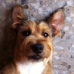 Barry - @barry_lumbreras - Instagram