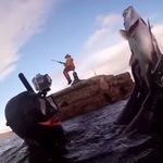 Barry Lundy - @lundyspearfishing - Instagram