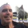 Barry - @lyallbb - TikTok
