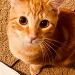 Barry Macfarlane - @barry_barry_bo_barry - Instagram