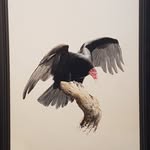 Barry Kent MacKay - @barrykentmackay - Instagram