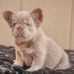 Bazza Macklin - Facebook