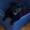 Barry Macleod - @barry.macleod6 - TikTok