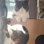 Barry Mak - @barrymak629 - Instagram