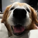Barry Makok - @barrymakok - Instagram