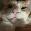 Barrymakukener - @barrymakukener - TikTok