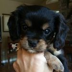 Barry Suzanne Mansell - @suzannemansell - Instagram