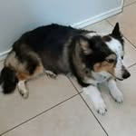 Barry Marble - @marble.barry - Instagram