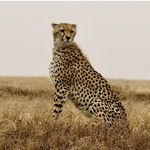 Barry Marcus - @barry.marcus.7374 - Instagram