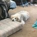 Barry Markham - Facebook