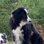 Barry Marks - @bazzaasc - Instagram