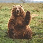 Fussyguy - @barrymartz1 - Instagram