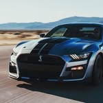 Barry Mathwig - @wolf_raptor223 - Instagram