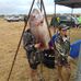 Barry Matthews - Facebook
