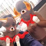 Barry Matthews - @barry.matthews.961 - Instagram