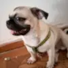 Barry Smau - @barry.smau - TikTok