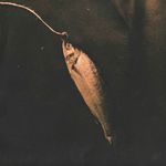 Barry Mayfield - @barry.mayfield - Instagram