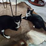 Barry Mazzoni - @barrymazzoni - Instagram