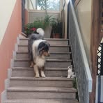 Piero Mazzoni - Facebook