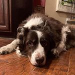Kathie Barry-McCall - @kathiemccall - Instagram