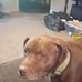 Barry McClain - Facebook