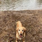 Barry McConkey - @barry_mcc1412 - Instagram