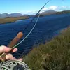 Barry Mcmahon - @bazmac22 - TikTok