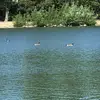 barry_from_the_meadows - @barry_from_the_meadows - TikTok