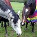 Barry Meredith - Facebook
