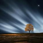 Barry Miles - @barry_barry_barry_miles - Instagram