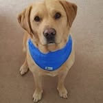 Barry Milne - @bazza_k79 - Instagram