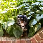 Barry Mims - Facebook
