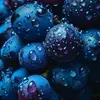 berry mix - @berrybraddy - TikTok