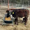 Barry Monday - @barrymonday00 - TikTok