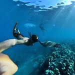 Barry Moore - @barrylmoore - Instagram