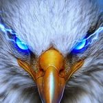 Barry Moose - @barrymoose09 - Instagram