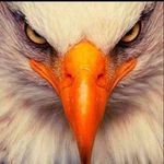 Barry Moose - @barry.moose.90 - Instagram