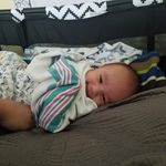 Barry Moose - @barrymooseman101 - Instagram
